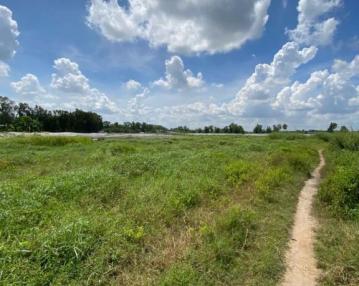 Đất lúa Vĩnh Lộc